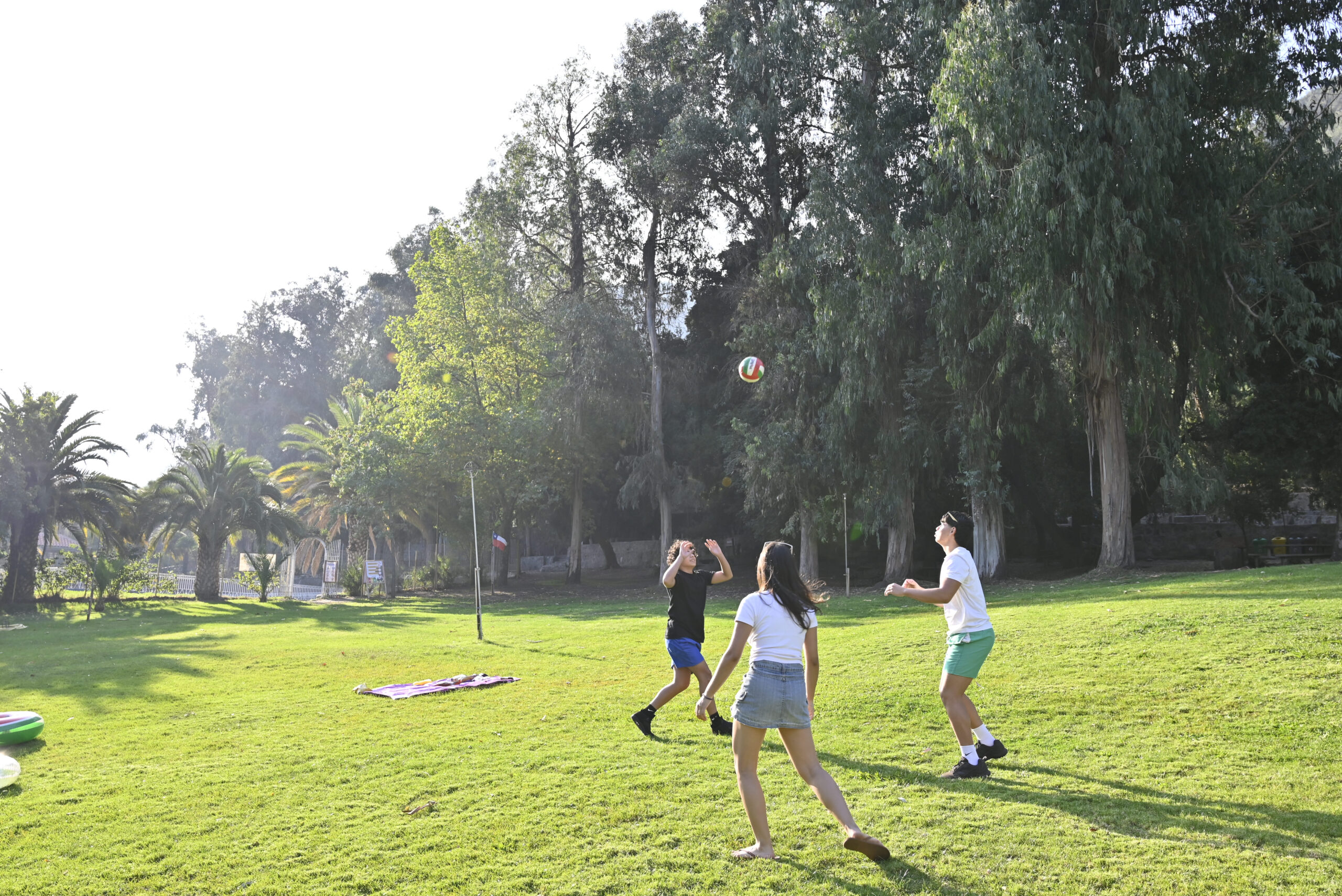 Jóvenes jugando vóleibol sobre césped en el Parque Los Peumos del Canelo, rodeados de árboles y palmeras en un día soleado