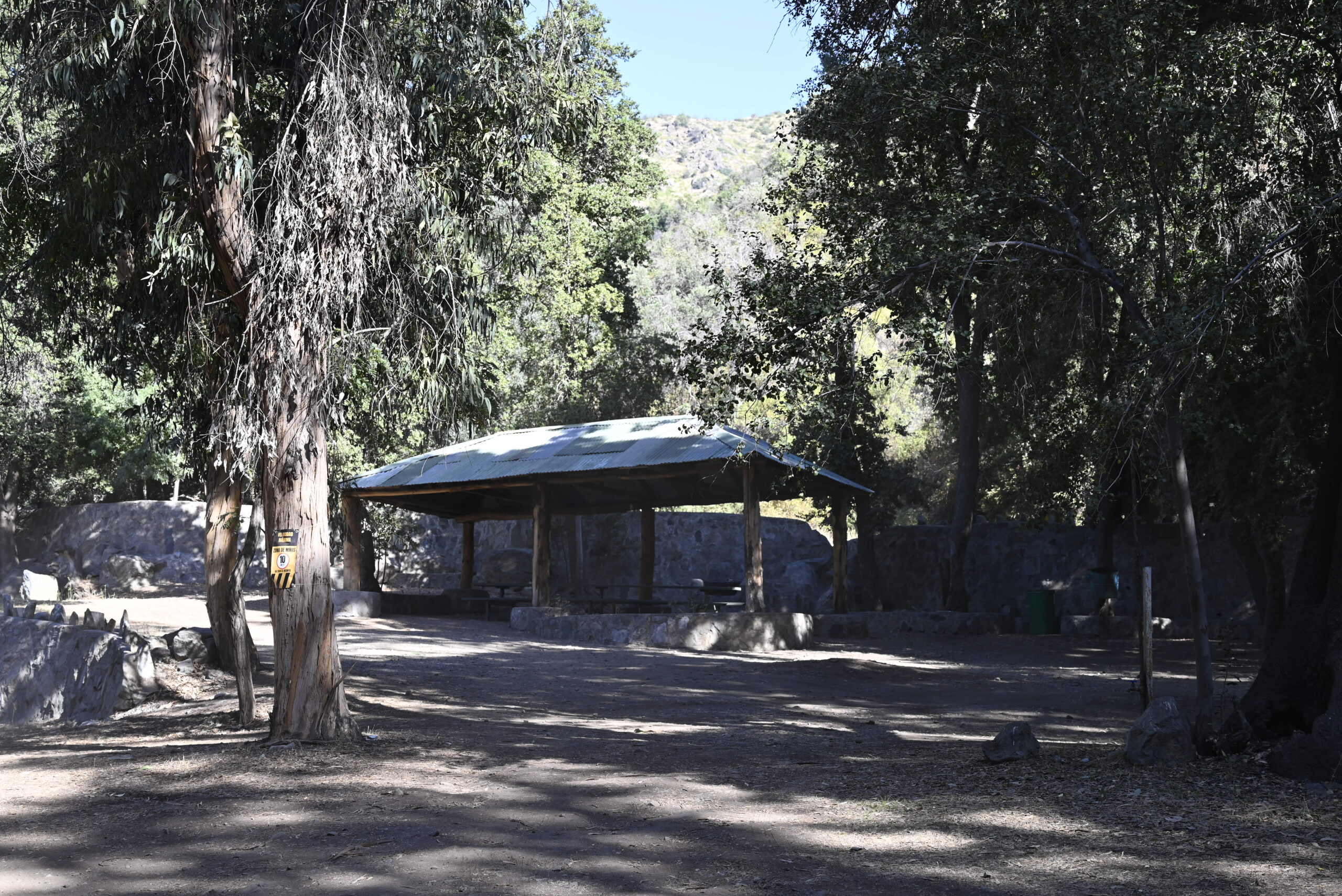Kiosko con productos y heladería artesanal en el Parque Los Peumos del Canelo, rodeado de árboles y visitantes