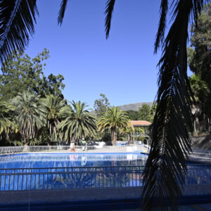 Vista de la piscina principal del Parque Los Peumos del Canelo, rodeada de palmeras y montañas bajo el cielo despejado