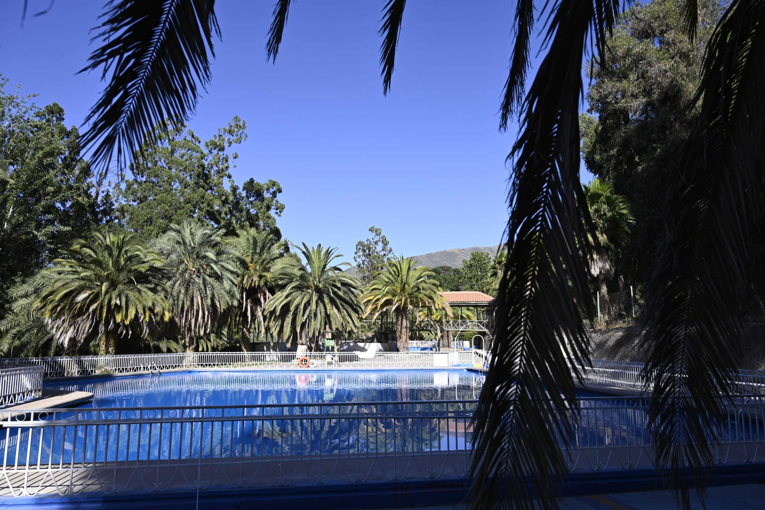 Vista de la piscina principal del Parque Los Peumos del Canelo, rodeada de palmeras y montañas bajo el cielo despejado