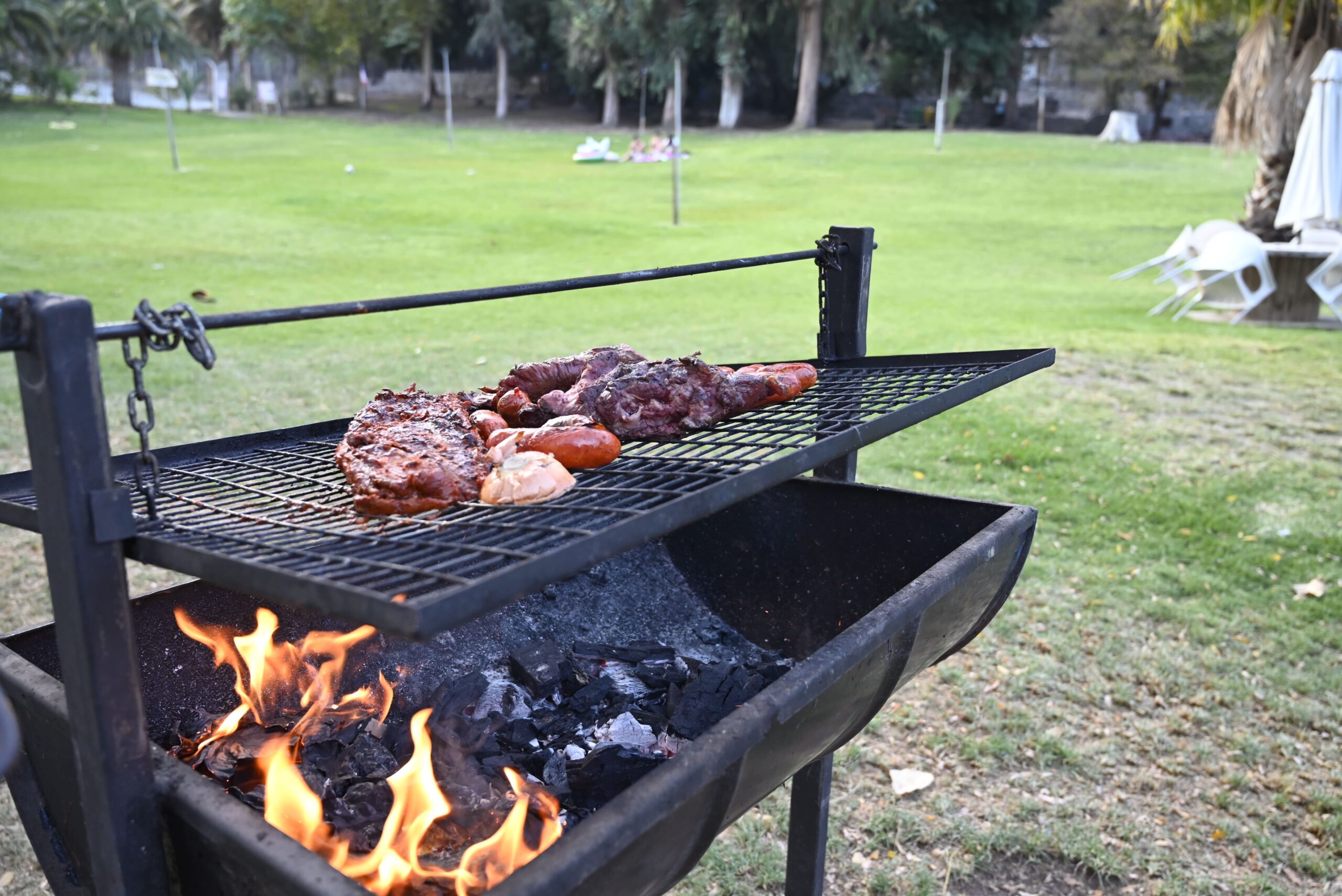 Parrilla con carnes asándose sobre fuego de carbón en el Parque Los Peumos del Canelo, rodeado de áreas verdes