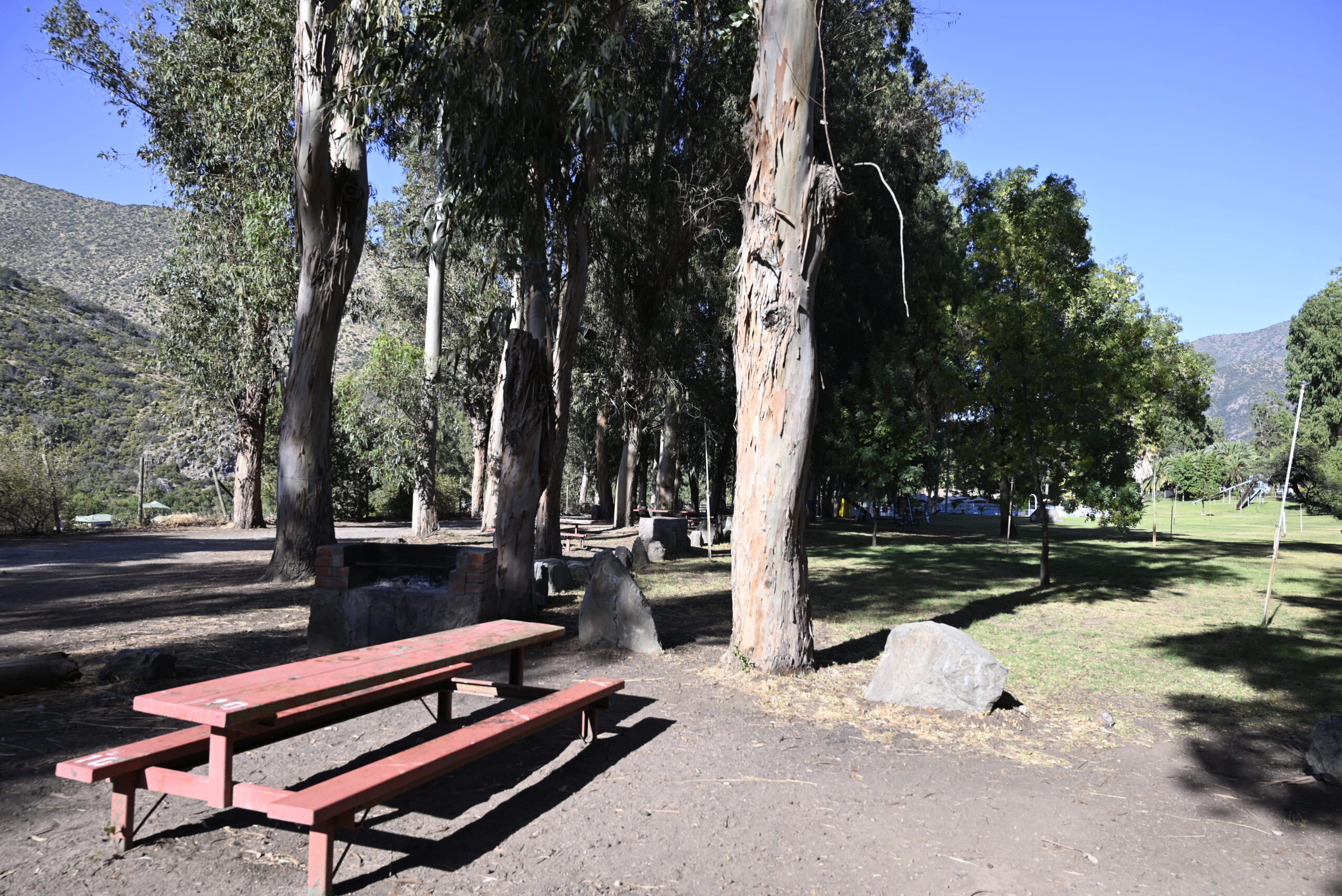 Familia disfrutando de un quincho rodeado de árboles nativos en el Parque Los Peumos del Canelo