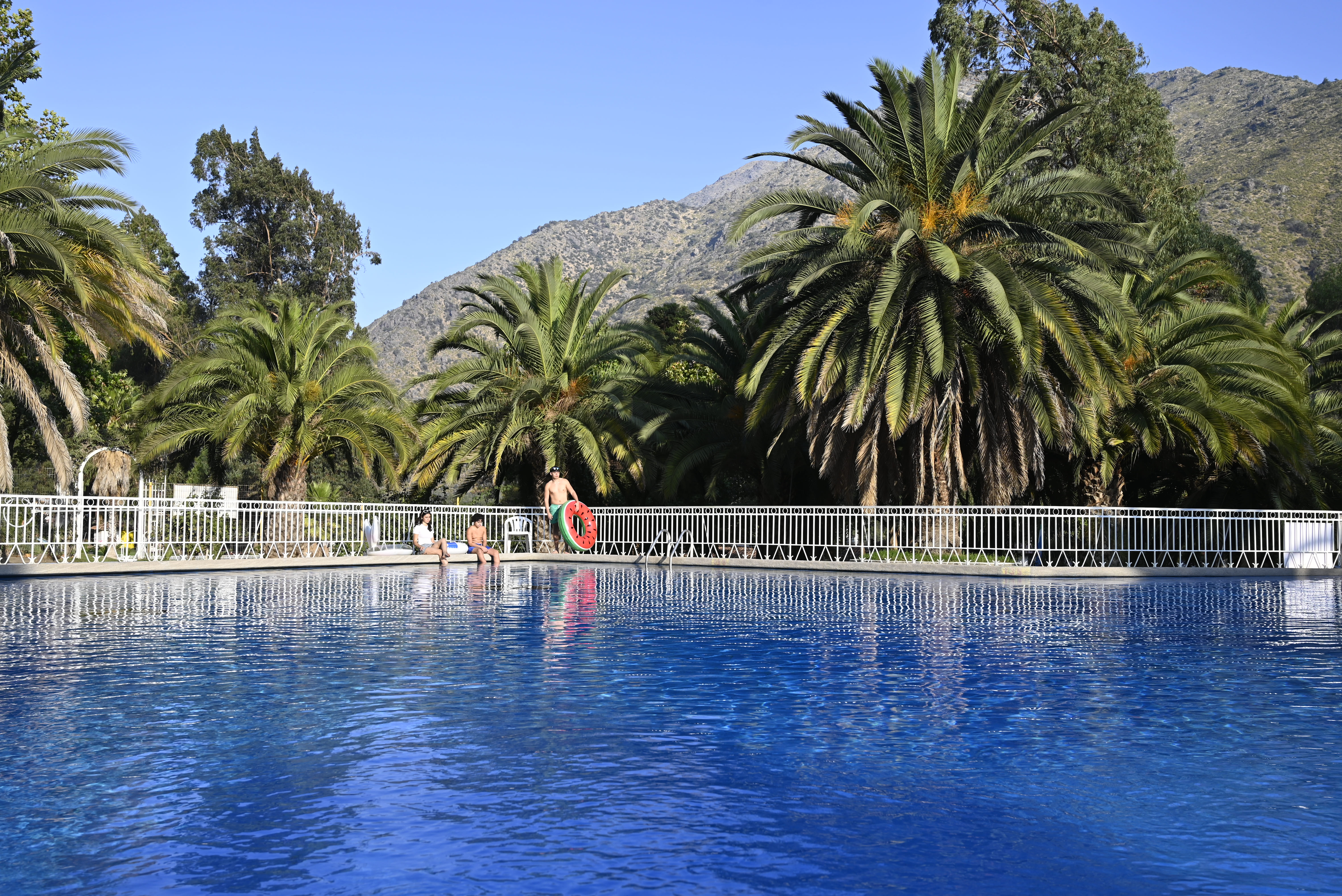Piscina principal del Parque Los Peumos del Canelo rodeada de palmeras y montañas en el Cajón del Maipo