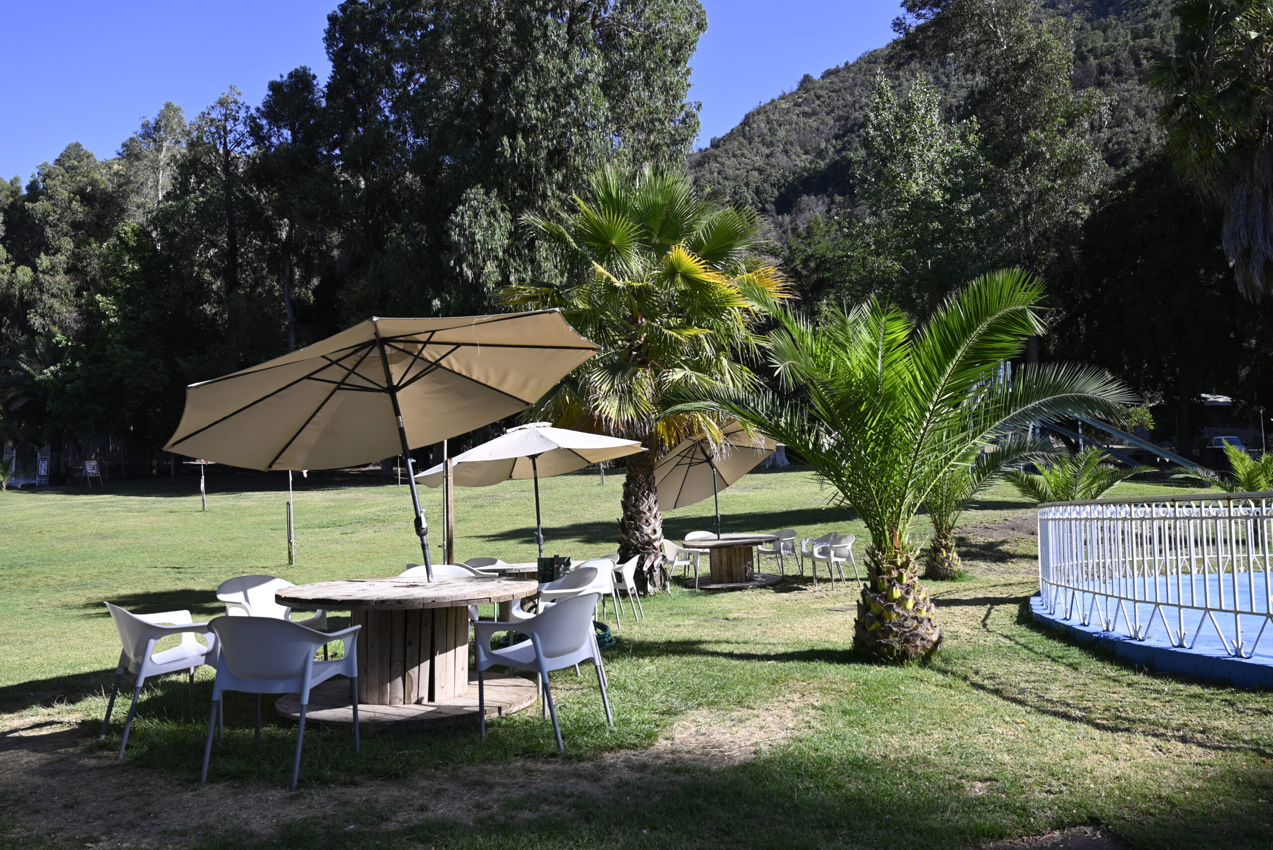 Mesas con sombrillas junto a la piscina del Parque Los Peumos del Canelo, rodeadas de palmeras y césped verde